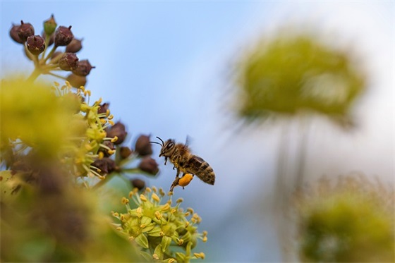 女生网名温柔仙气二字