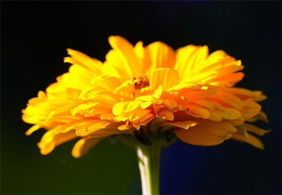 运动会口号简短霸气八字