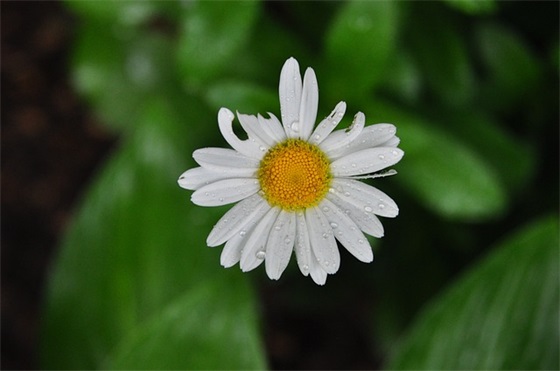 激励晨会口号大全84句