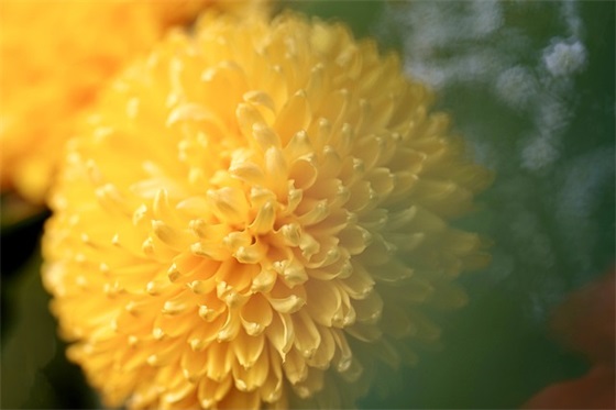 最新2026电商企业双十一霸气朝气蓬勃的宣传口号