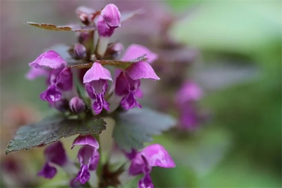 大学经济学院运动会口号84句