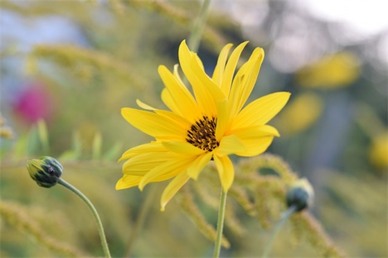 新婚幸福祝福语大全