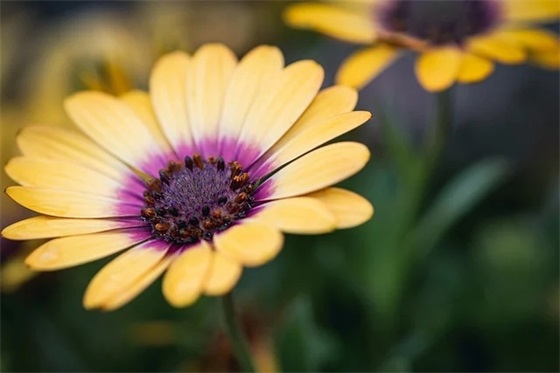 朋友生意开业祝福语