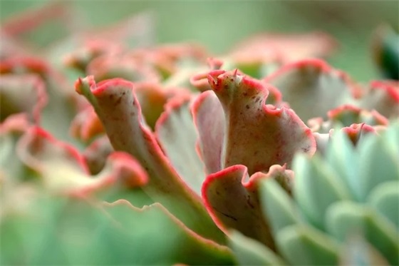 考研搞笑祝福语32句