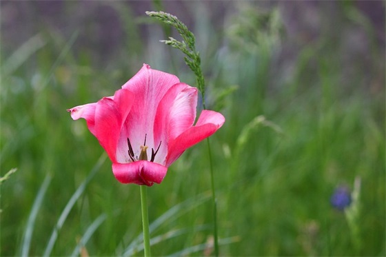女生生日祝福语20字