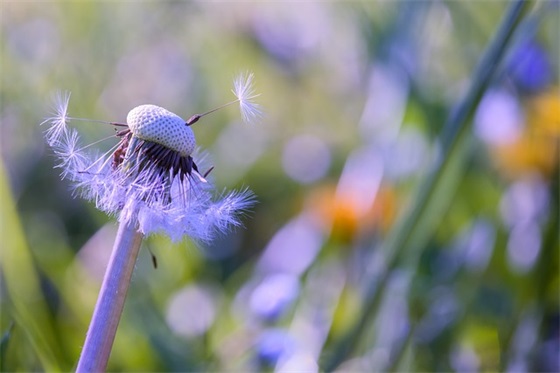 关于描写舞蹈动作优美的句子58句（精选）