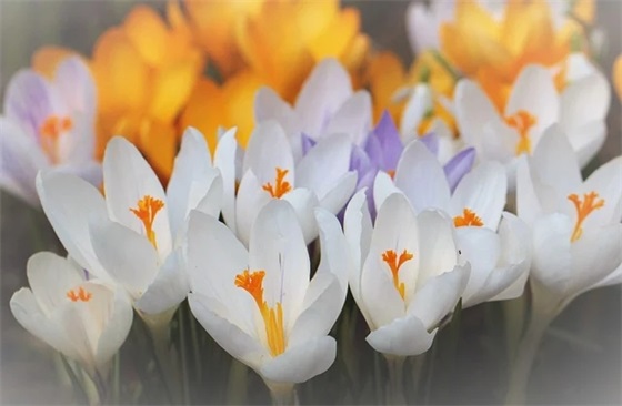 2025大学军训艰苦好句子（精选推荐）