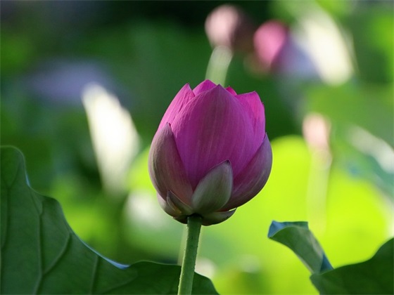 关于令人心痛到心碎的句子 心里难过好想哭的伤感句子