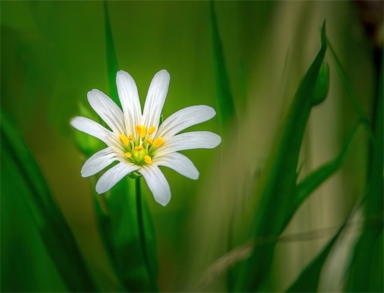 关于十月第一天正能量句子(精选98句)