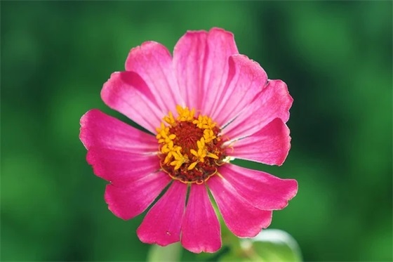 关于给另一半的情话最暖心短句 很小众却很惊艳的句子