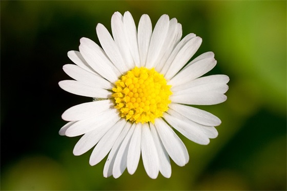 关于十月你好的句子(精选104句)