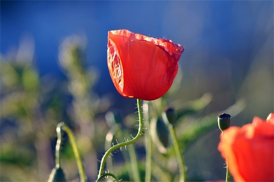 2025年元旦跨年句子人生感悟大全（精选100句）