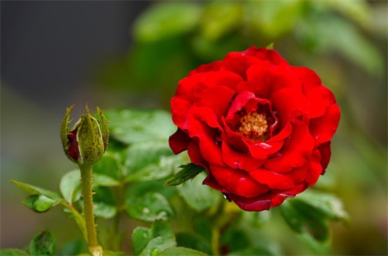 暖心朋友的短句子 友谊最暖心短句