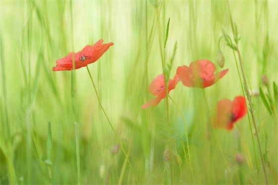 十一月再见十二月你好句子