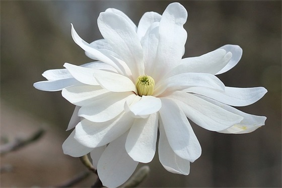 字的暖心的短句友情 暖心的友情句子简短 字的暖心的短句友情 暖心的友情句子简短