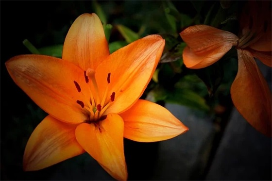 分手后让对方感动的话 情人分手的句子 分手后让对方感动的话 情人分手的句子