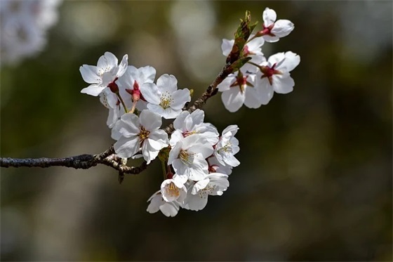 感叹生活不易的感悟句子