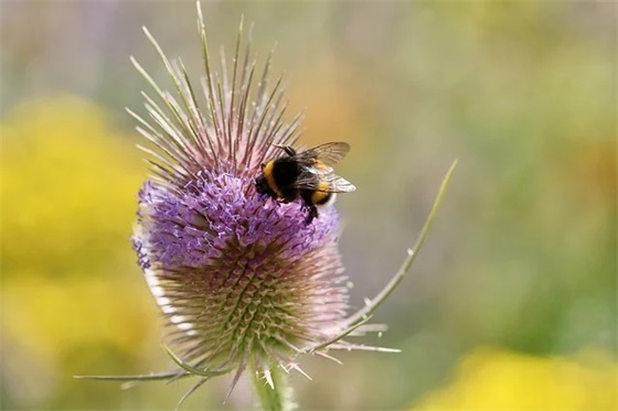 青春梦想的句子