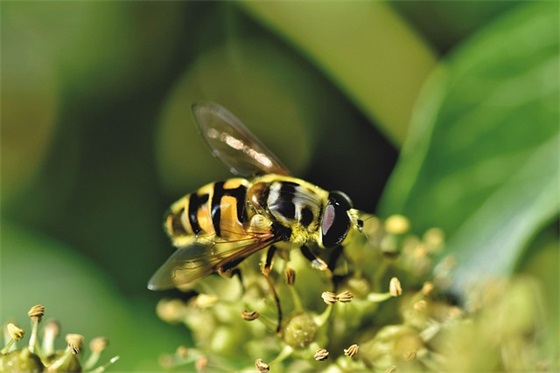 朋友生日祝福赠言大全