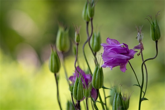 爱人离别祝福语大全40句