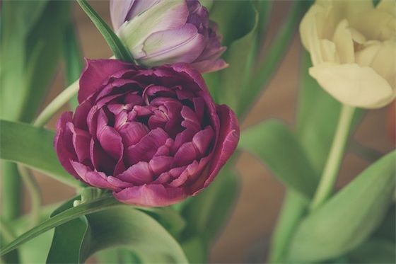 生日贺卡祝福语英文