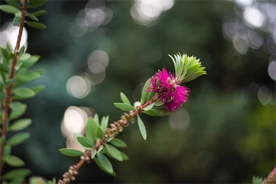 最新的星期六祝福短信大全(星期六祝福短信给客户)