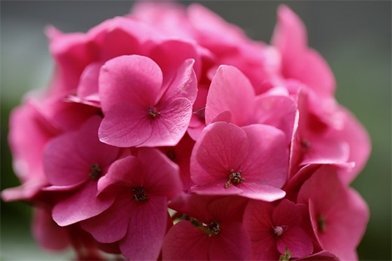 祝福新婚的语言 祝贺别人结婚的话