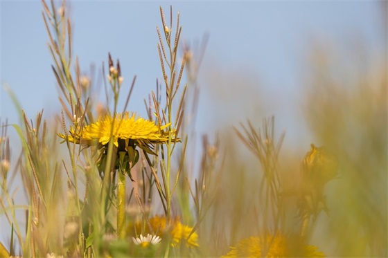 2026年复活节短信祝福语