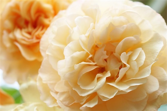 2026国家安全宣传标语大全 国家安全宣传标语