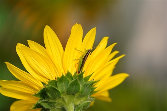 搞活动标语92句