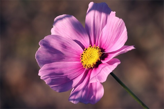 数码快印广告标语103句