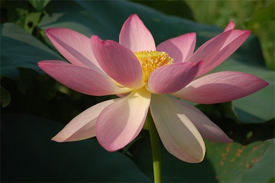 2026精选关于创业主题口号 创新创业宣传标语