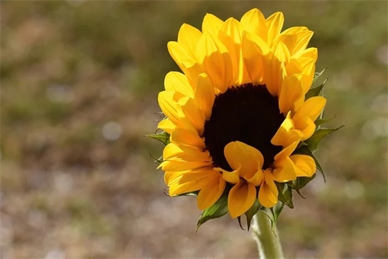 班级体育口号霸气86句