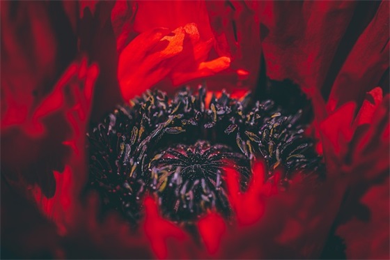 霸气侧漏的班级口号84句