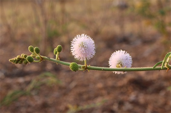 积极向上霸气的口号84句
