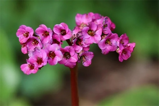 六班军训班级口号83句