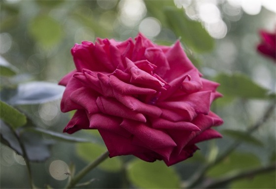 简单好记的班级口号83句