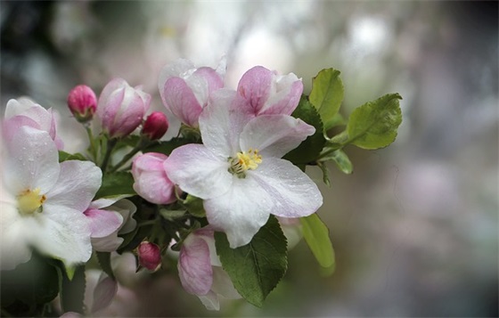 房地产励志口号大全83句