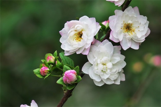 防诈骗宣传口号87句