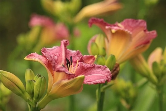 爱护公共设施标语80句