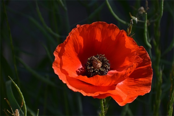 化工企业安全标语87句