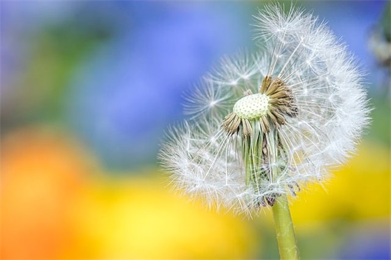 315企业宣传口号 钢铁企业宣传口号