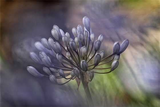 霸气的团结口号大全87句