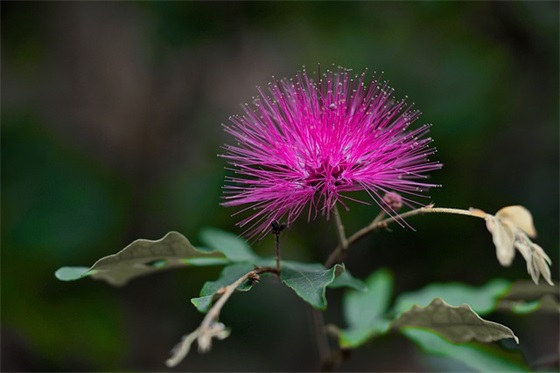 最好的企业口号83句