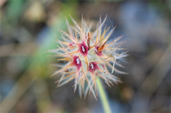 大型企业口号90句