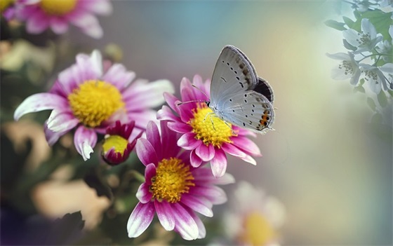 过年的安全警示标语86句