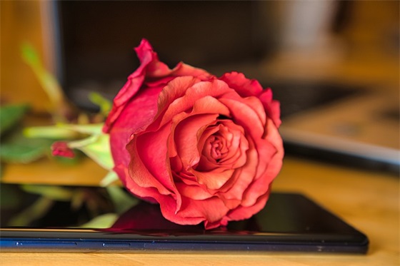 电缆生产车间口号大全84句