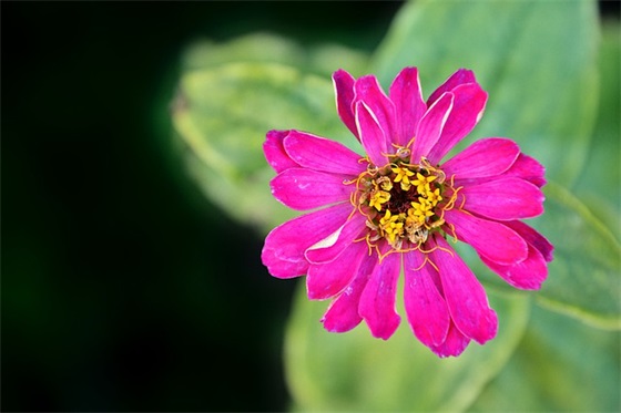 关于企业质量的口号大全88句