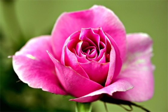 服务行业销售口号83句