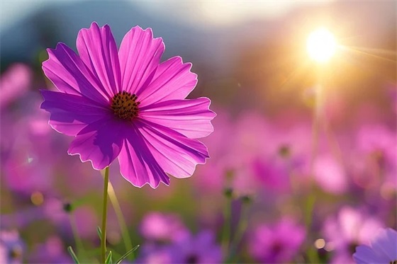 学校饭堂标语103句